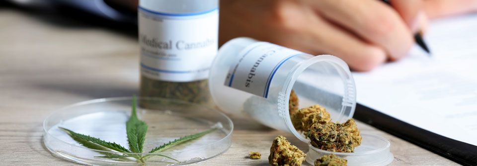 Neue Cannabis-Präparate der Firma Hormosan sind seit Ende letzten Jahres verfügbar.