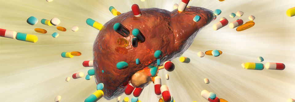 Gewusst wie, lässt sich die medikamentöse Therapie der Tuberkulose trotz Hepatotoxizität sicher durchführen.