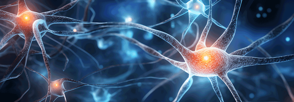 Neu: Orthomol Neuroprotect für die Nervenregeneration Vor allem Schmerzen im Nacken- oder Rückenbereich oder an Beinen, Füßen und Händen können belastend und einschränkend sein.
