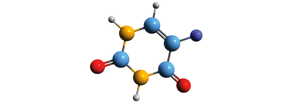 Fluoropyrimidin sollte geschlechterspezifisch und personalisiert dosiert werden.