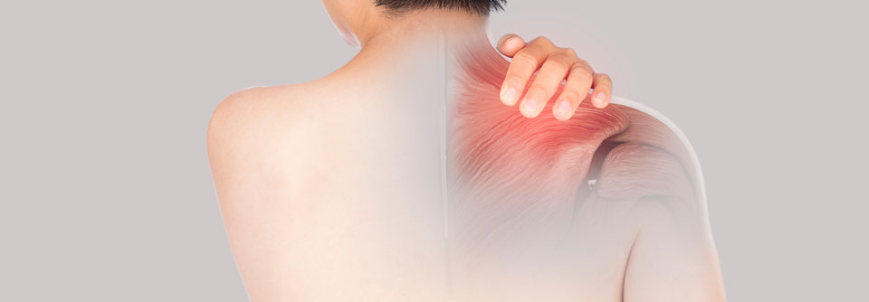 Polymyalgie: Entzündung eindämmen, Kortison einsparen Aktuelle Forschung beschäftigt sich damit, ob Januskinaseinhibitoren eine Alternative in der Behandlung der Polymyalgie darstellen könnten.