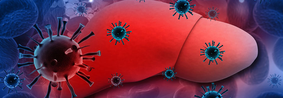 Beim Absetzen der antiviralen Therapie bei chronischer Hepatitis B sollte man sehr vorsichtig sein.