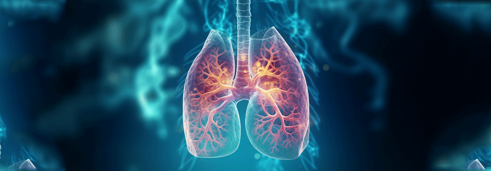 Potenziell heilbare Lungenkarzinomfrühstadien sollen zukünftig besser erkannt werden.