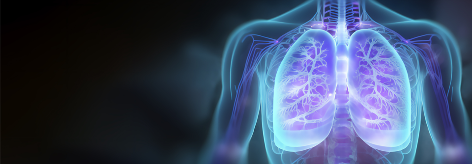 KL-6 gilt als vielversprechender Biomarker für interstitielle Lungenfibrosen.