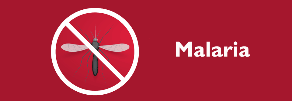 Malaria: Gastrointestinale Symptome als Hinweis auf einen komplizierten Verlauf Die empfohlene Malaria-Prophylaxe hatte sie nicht eingenommen.