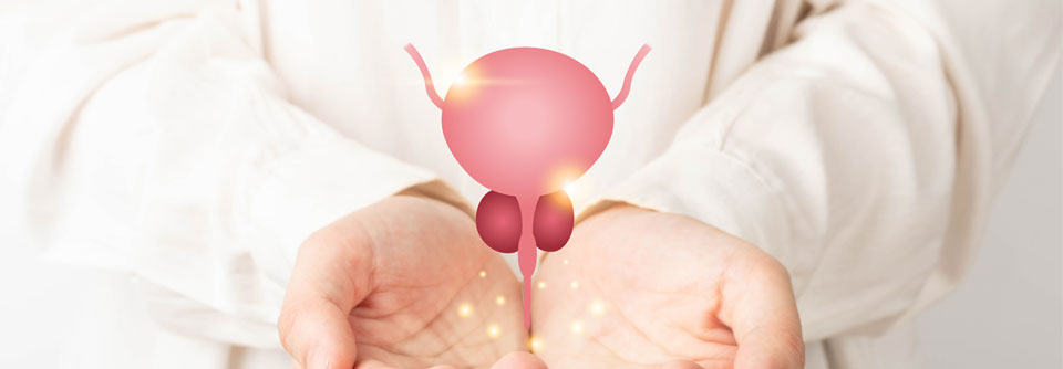 Benignes Prostatasyndrom: Diagnostik, Therapie und Leistungsabrechnung Durch die Entbudgetierung wird die GOP 03004 und 03220/03221 durch die Versorgungspauschale ersetzt.