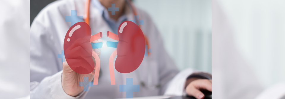 Schnittstelle CKD: Nephrologie – Geriatrie – Palliativmedizin Wichtig sei deshalb, interdisziplinär nach einem integrierten Versorgungskonzept zu agieren − mit einer gemeinsamen Therapiezielfindung unter Berücksichtigung des Zustands und der Wünsche der einzelnen Patienten.