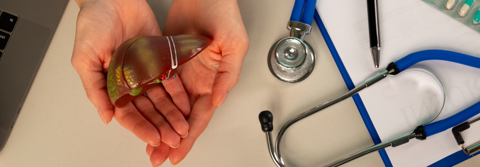 Akutes Leberversagen: Symptome, Ursachen, Therapie Das akute Leberversagen betrifft hierzulande geschätzt 200 bis 500 Menschen jährlich.