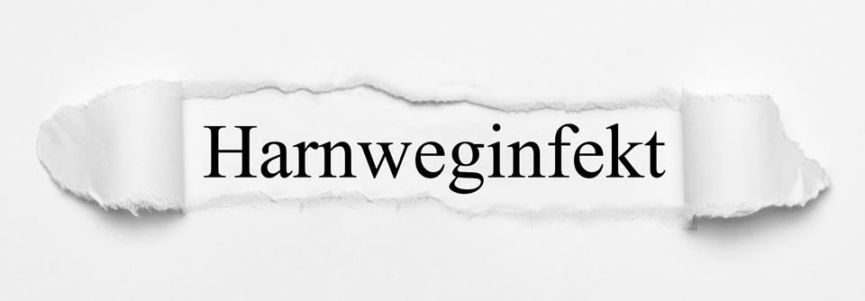 Um Harnweginfekten vorzubeugen oder sie zu lindern, wird häufig empfohlen, viel Wasser zu trinken.