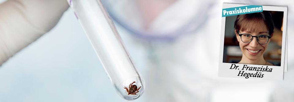 Chronisch überzeugt – können wir gegenhalten? Von Kopfschmerzen über Müdigkeit – wann handelt es sich um Langzeitfolgen einer Lyme-Borreliose und wann nicht?