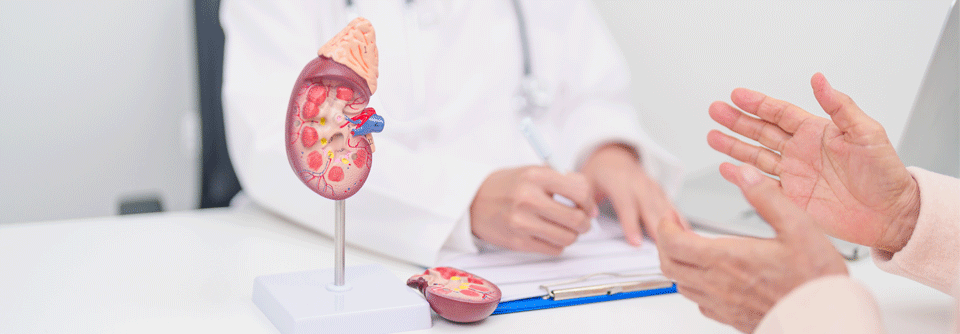 Die optimale Versorgung von Patient:innen mit chronischer Nierenerkrankung (CKD) bewegt sich in einem Spannungsfeld zwischen dem wissenschaftlich Wünschenswerten und dem im Versorgungsalltag praktisch Machbaren.