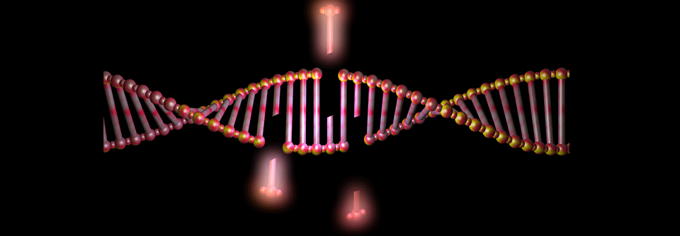 Niraparib plus Abirateron überzeugt bei mHSPC mit BRCA-Mutation Erkrankte mit BRCA-Mutation profitierten am stärksten.