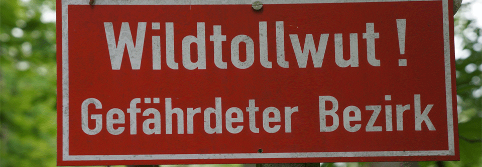 Tollwut-Schutz: Tollwut in Thailand und Südafrika Deutschland gilt seit 2008 als frei von klassischer Wildtollwut. Reisende können sich aber weiterhin infizieren.