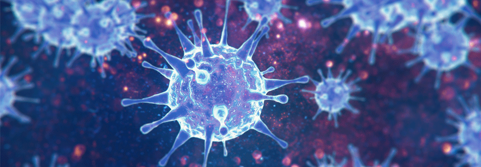 Influenza-Viren können anscheinend nicht nur über Tröpfcheninfektion beim Husten oder Niesen von Erkrankten übertragen werden