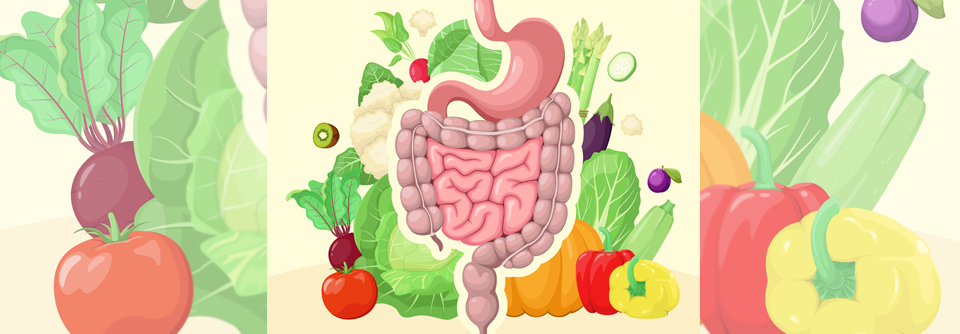 Wie die Ernährung beim Kurzdarmsyndrom gelingt Grundpfeiler der Behandlung ist eine sorgfältig angepasste, laborchemisch überwachte Ernährungstherapie.