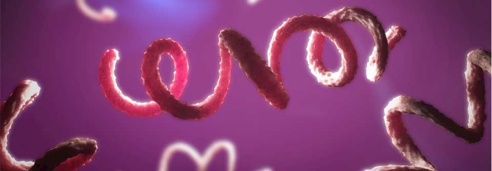 Besonders in den Stadtstaaten Berlin und Hamburg sind überdurchschnittlich viele Menschen erkrankt.