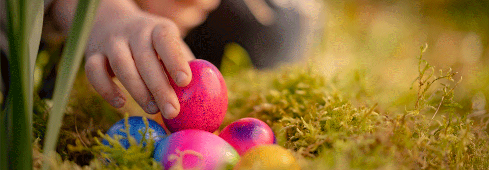 Bald kommt Ostern und mit diesem Fest eine immense Nahrungsmittelbedrohung für unsere Patienten. Die Rede ist vom Osterei, dem vom Huhn produzierten selbstverständlich.