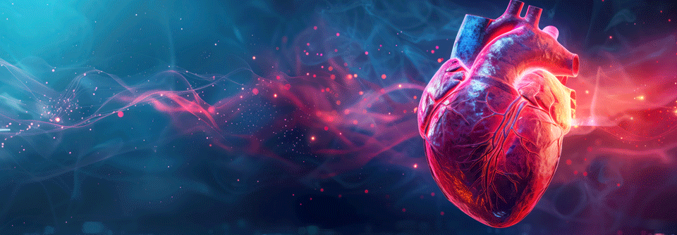 Schon ein leicht erhöhter Troponin-Spiegel – auch noch innerhalb des Normalbereichs – hängt unabhängig von anderen Risikoparametern mit einem späteren kardiovaskulären Ereignis zusammen.