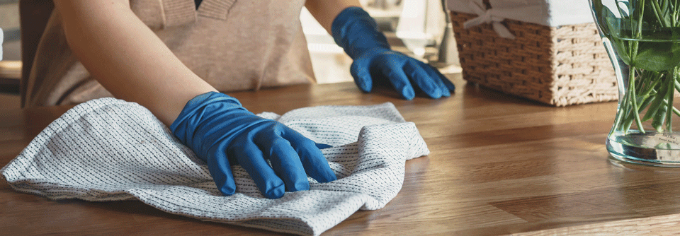 Wer beim Frühjahrsputz Staub einatmet, setzt sich in manchen Gebieten Deutschlands einem erhöhten Infektionsrisiko durch Hanta-Viren aus.