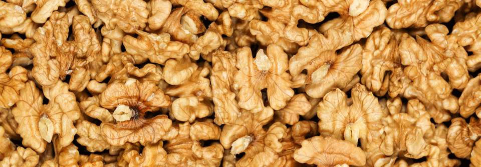 Dass naturbelassene Walnüsse einen positiven Effekt auf den Fettstoffwechsel haben, ist wissenschaftlich erwiesen.