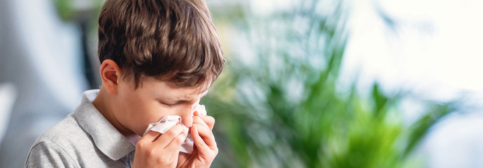 Allergische Rhinitis plus Asthma belasten betroffenes Kind und Familie Die häufigste ganzjährige Allergie war die gegen Hausstaubmilben (91 %) und 41 % der Betroffenen litten gleichzeitig an Asthma.