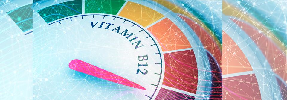 Auch die funktionellen Marker der Vitamin-B12-Versorgung wie Homocystein und Methylmalonsäure (MMA) verbesserten sich signifikant und blieben über den gesamten Zeitraum im Normbereich.