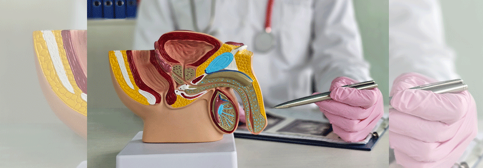 Eine kombinierte Therapie zeigt verbessertes Überleben, besonders bei genetisch veränderten Tumoren.
