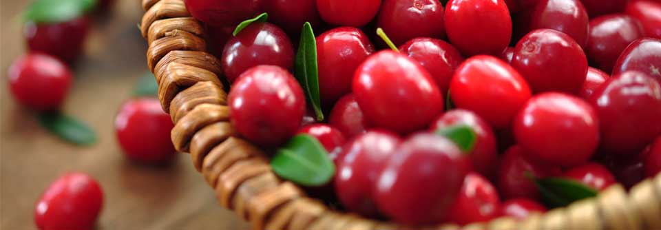 Harnwegsinfekte: Kein Nutzen von Cranberry Studienteilnehmerinnen waren 185 Frauen im mittleren Alter von 86 Jahren.