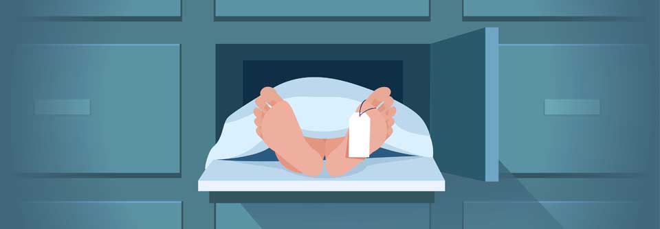 Die häufigsten Krebserkrankungen in Deutschland waren bei Frauen Brustkrebs, Lungenkrebs und Bauchspeicheldrüsenkrebs, bei Männern Lungenkrebs, Prostatakrebs und Darmkrebs.