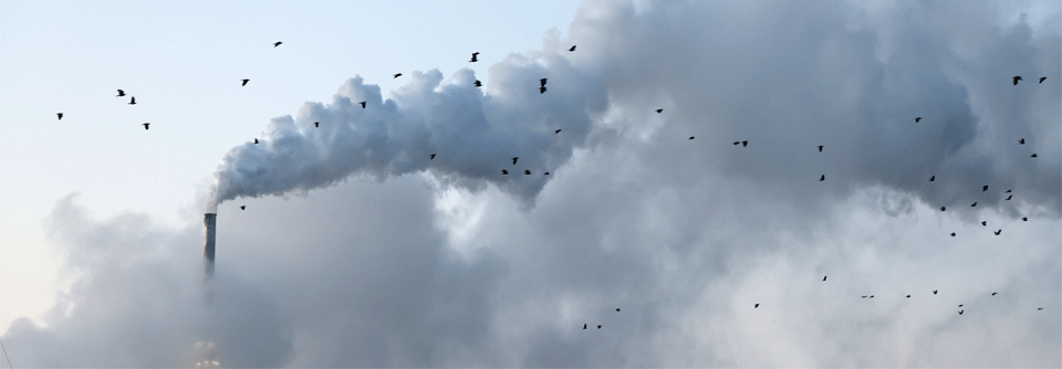 Ist der Wohnort durch Luftverschmutzung belastet, steigt auch das Risiko, eine Insulinresistenz als Vorstufe von Typ-2-Diabetes zu entwickeln.