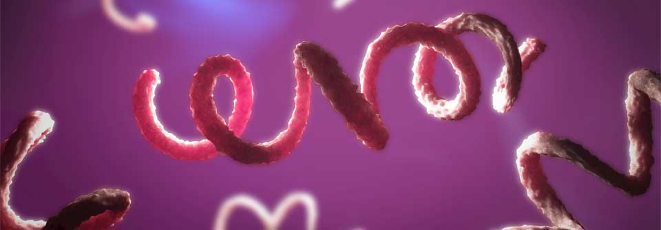 Syphilis: Immer mehr Diagnosen Mit 8,5 Infektionen pro 100.000 Einwohner ist 2015 der bislang höchste Wert seit 2001 erreicht worden.