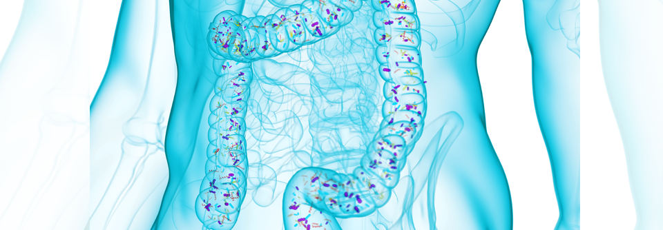 Darmbakterien entscheiden mit über den Erfolg der Melanom-Immuntherapie Mikrobiom-Forschung eröffnet neue Wege in der personalisierten Krebstherapie.