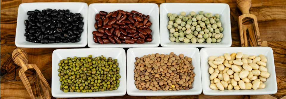 Negative Effekte der eiweißreichen Diät auf die Nierenfunktion oder den Zuckerstoffwechsel wurden in der vorliegenden Studie nicht beobachtet.