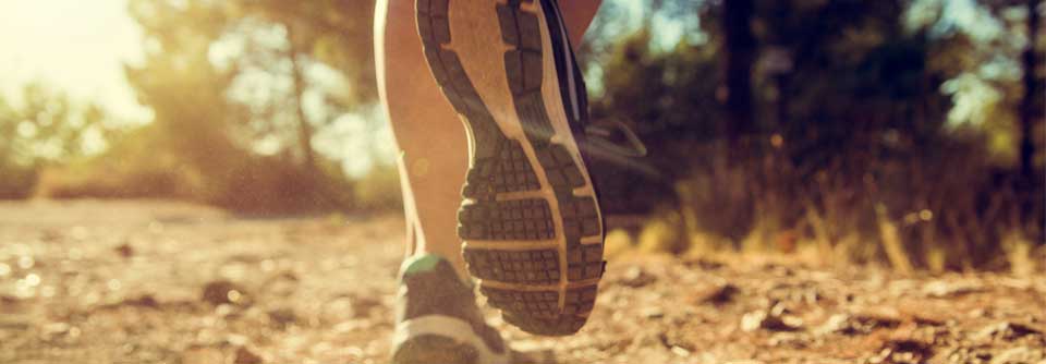 Eine Trainingsstudie mit 124 Probanden im Alter zwischen 30 und 60 Jahren zeigte die erhöhte Telomeraseaktivität bei moderatem Ausdauertraining.