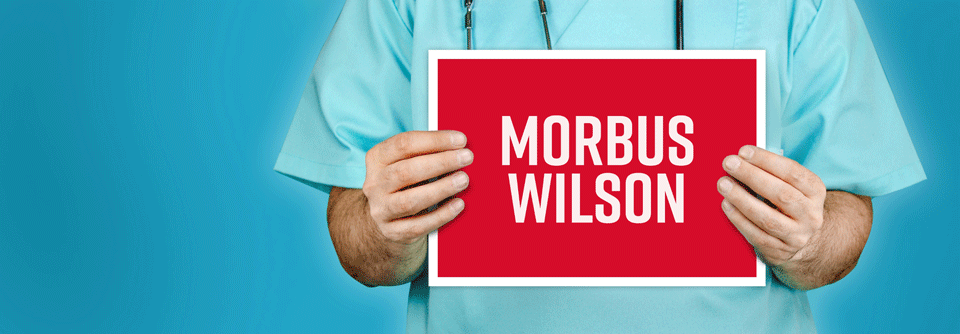 Kupfergefahr für Gehirn und Leber bannen Unbehandelt verläuft der Morbus Wilson oft tödlich.