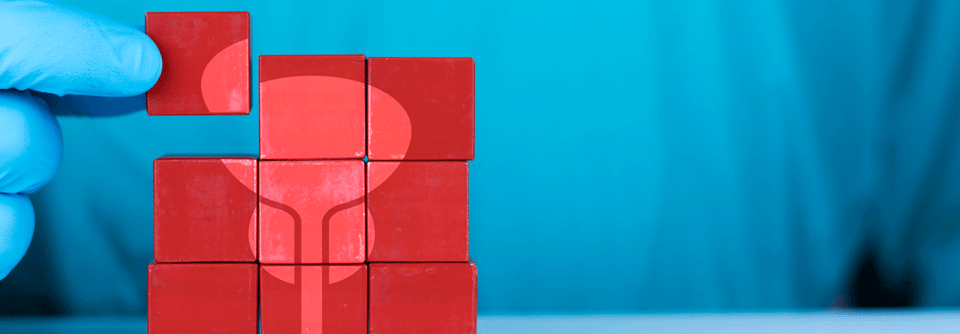 Bei BCG-Versagen sollen neue Therapien die Chemotherapie verbessern.