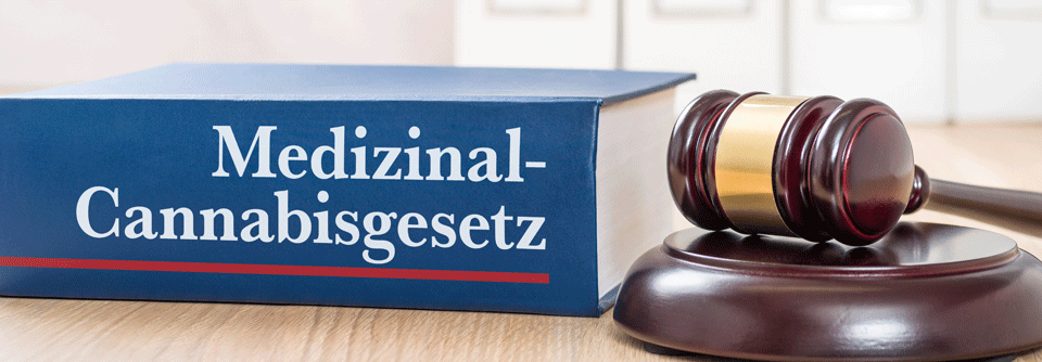 Medizinalcannabis: Warken will Rausch auf Rezept beenden Medizinalcannabis soll wieder im persönlichen Arztkontakt verordnet werden.