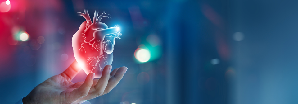 Remnant-Cholesterin ist wichtiger Marker für das KHK-Risiko Neuste Studie untersucht den Einfluss des Remnant-Cholesterins auf das Risiko für koronare Herzkrankheit.