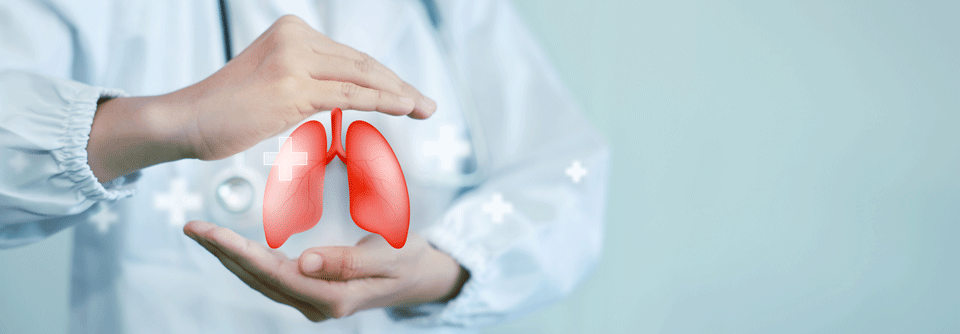Lungenorganoide liefern Erkenntnisse zu Atemwegserkrankungen Lungenorganoide haben sich als Modelle zur Erforschung von Atemwegserkrankungen im Kindesalter bewährt.