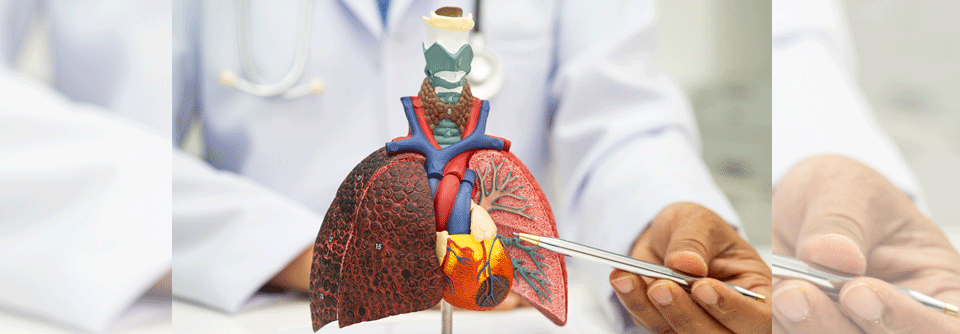 Erkrankte mit NSCLC und Treibermutationen profitieren von spezifischen Inhibitoren.