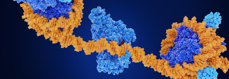 Wie prägt DNA-Methylierung das Depressionsrisiko? Eine Metaanalyse deckt überraschende Zusammenhänge auf – immunrelevante Gene im Fokus.