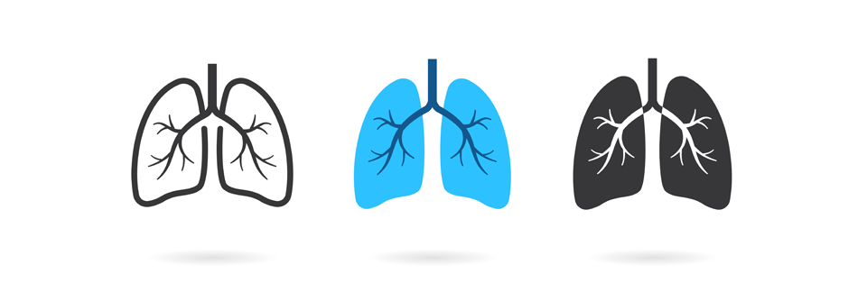Senolytika wie Dasatinib und Quercetin könnten altersbedingte Lungenerkrankungen wie COPD und IPF bremsen. 