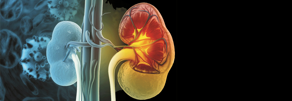 Inzwischen gibt es mindestens vier Klassen von Medikamenten, die die Progression einer CKD verlangsamen können.