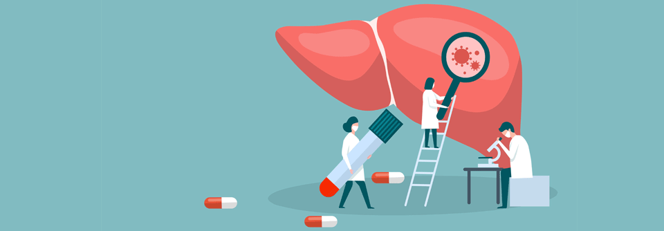 Trotz leichtem Rückgang bleiben Hepatitis-B- und Hepatitis-C-Infektionen 2024 in Deutschland alarmierend hoch.