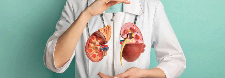 Der Nutzen der dualen Immuntherapie beim nichtklarzelligen RCC ist abhängig vom CPS-Wert.