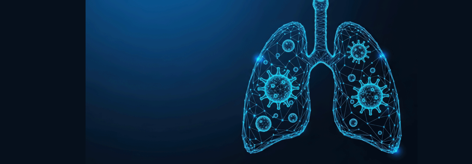 Bei Haemophilus influenzae unterscheidet man zwei Formen: typisierbare verkapselte und nichttypisierbare unverkapselte Stämme.