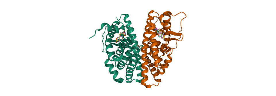 Mutationen im Östrogenrezeptor spielten nach Ansicht der Diskutantin in dieser Studie eine vernachlässigbare Rolle.