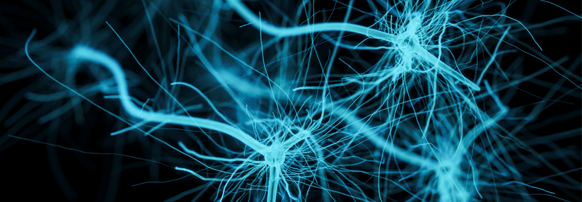 Gestärkte Neuropipeline 271 000 Patienten mit schubförmig remittierender MS wurden bis zu acht Jahre lang behandelt.