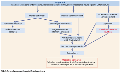Abb. 5: Behandlungsalgorithmus bei Stuhlinkontinenz.