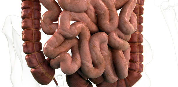 Bauchbeschwerden: Nicht vorschnell in die „Reizdarm-Schublade“ stecken!